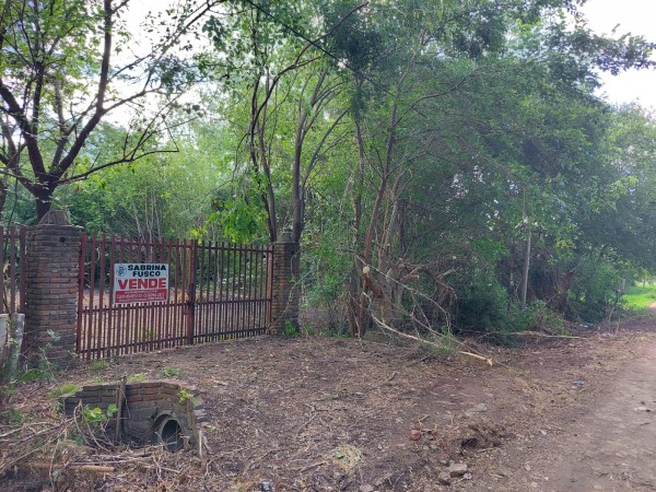 AMPLIO TERRENO EN 20 DE JUNIO