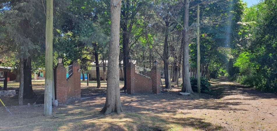 CASA DE CAMPO 20 DE JUNIO