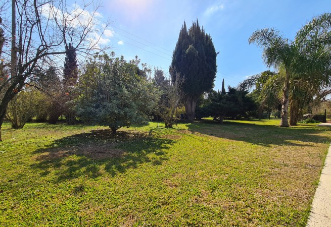 QUINTA 20 DE JUNIO