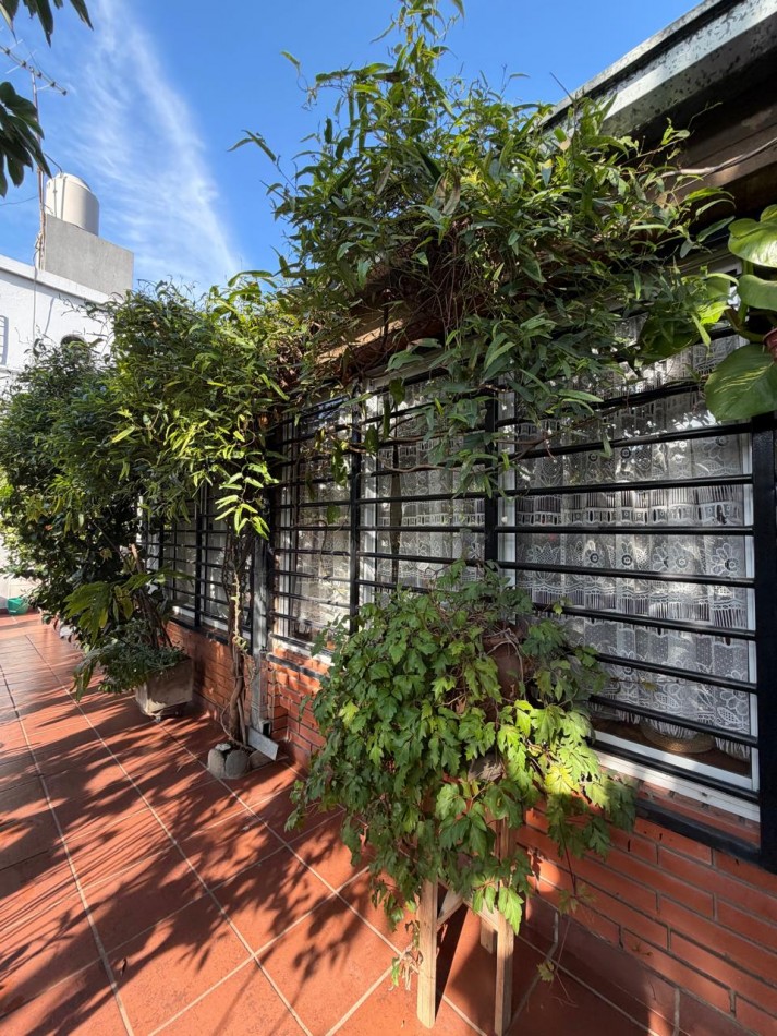 CASA, QUINCHO y DESTACADA VEGETACION en IMPECABLE ESTADO.