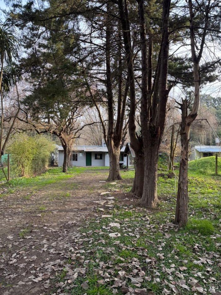 DOS VIVIENDAS INDEPENDIENTES SOBRE UN AMPLIO LOTE DE 958 M² EN 20 DE JUNIO