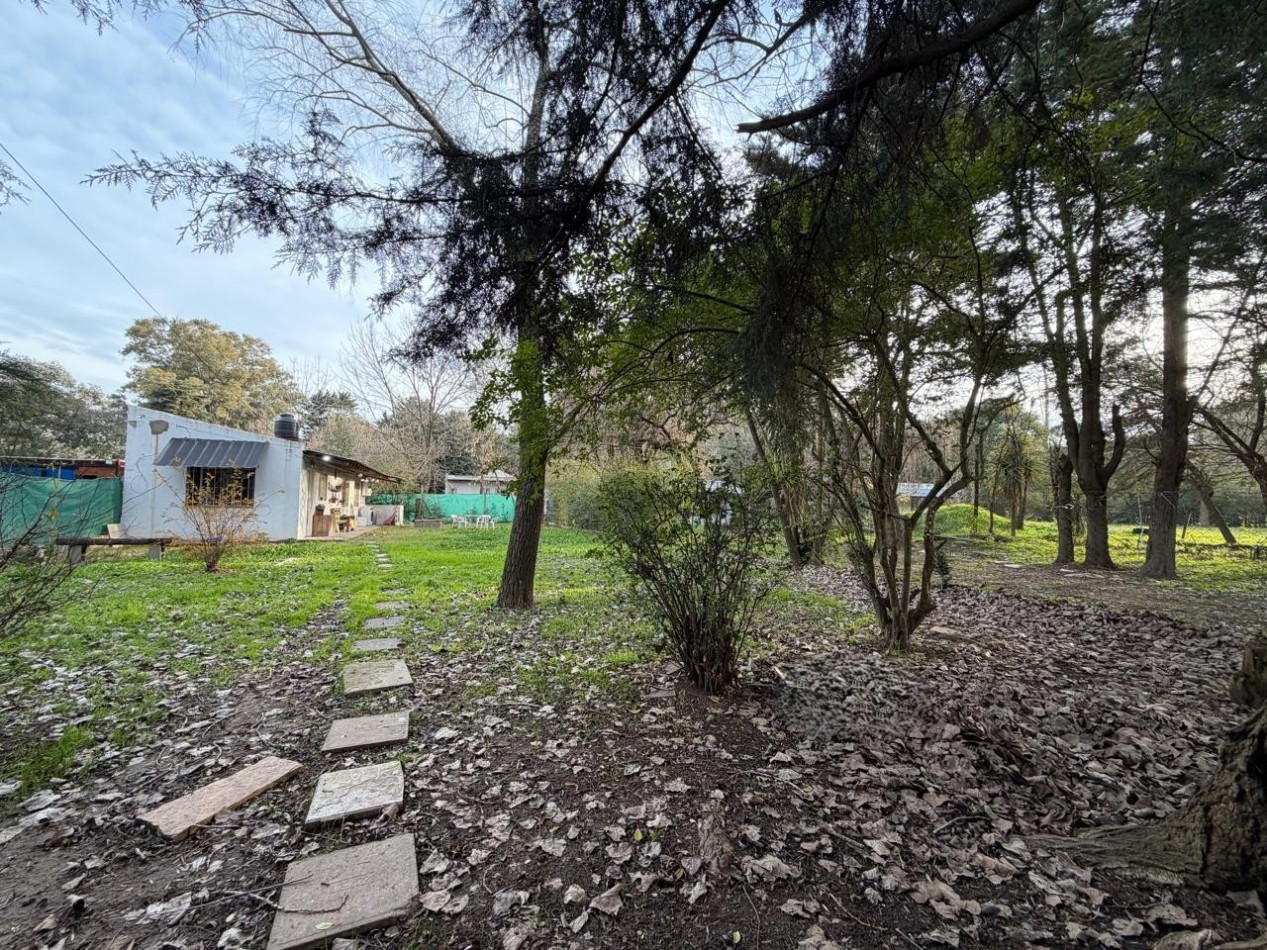DOS VIVIENDAS INDEPENDIENTES SOBRE UN AMPLIO LOTE DE 958 M² EN 20 DE JUNIO