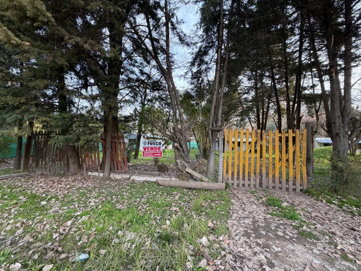 DOS VIVIENDAS INDEPENDIENTES SOBRE UN AMPLIO LOTE DE 958 M² EN 20 DE JUNIO