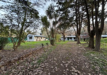 DOS VIVIENDAS INDEPENDIENTES SOBRE UN AMPLIO LOTE DE 958 M² EN 20 DE JUNIO